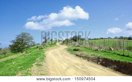 sinuous path crosses a hill in Nebrodi Park, Sicily 