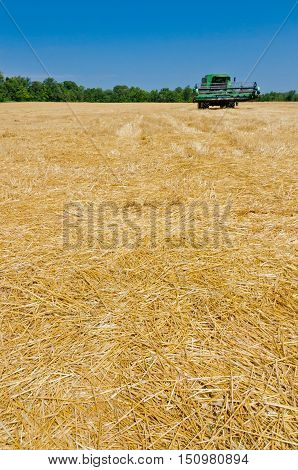 Picture of The compressed band on wheat field