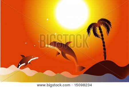 i delfini saltare fuori dall'acqua di mare