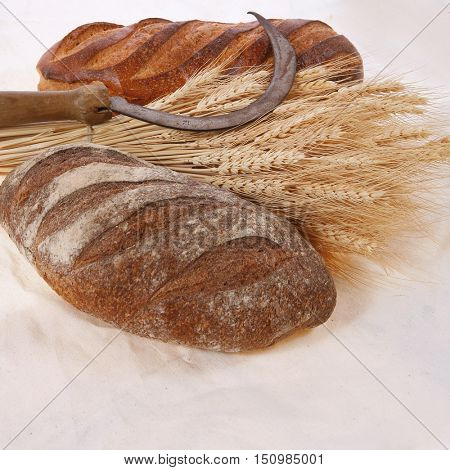 bunch of mown wheat ears with vintage handmade reaper hook sickle and rye and white dark french fresh bread loaf on light linen tablecloth