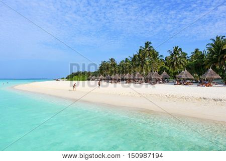 bungalows on a white beach with coconut palms on Maldives Island