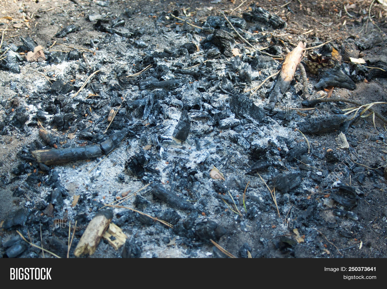 Ash After Fire Online head.hesge.ch