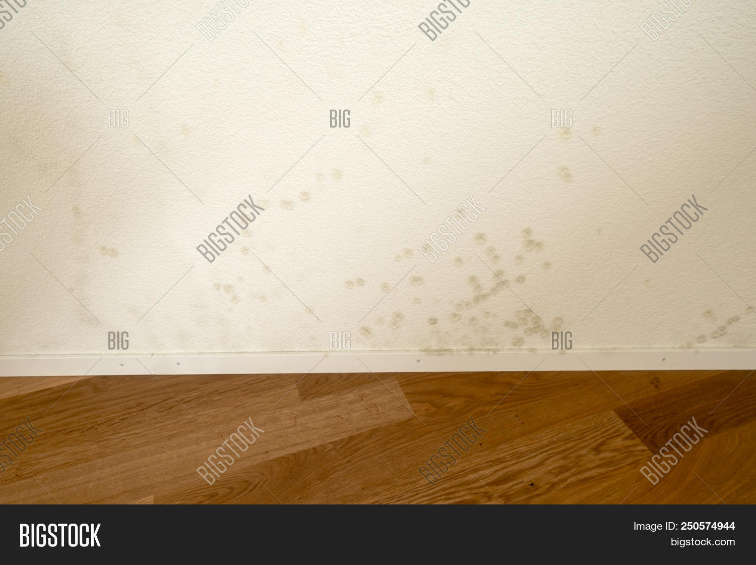 Apartment Toxic Mold Image Photo Free Trial Stock Apartment With A Toxic Mold And Mildew Problem