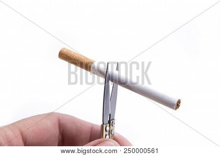 Detail Of Cigarette Cut With The Hand Scissors. Stop Smoking Concept