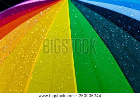 Rain Drops On Rainbow Multicolor Umbella. Close-up