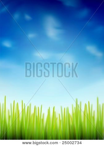 Vektor-Gras und Himmel illustration