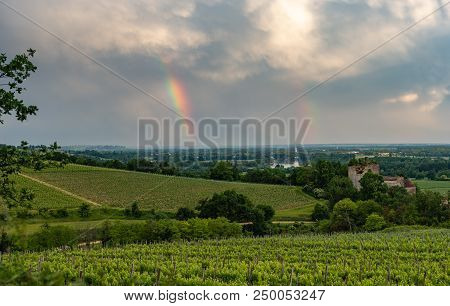 Colorful Rainbow And Storm In The Sky Above Bordeaux Vineyard