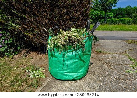 Green Bag Full Of Garden Cuttings Waiting For The Council To Pick Up On A Recyling Collection.