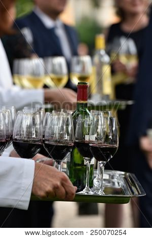 Professional Waiter In Uniform Is Serving Wine