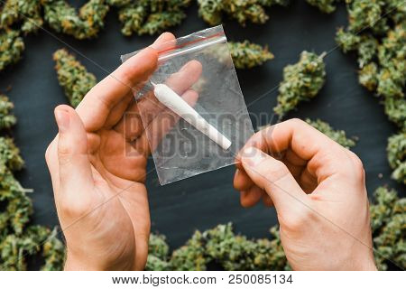 Grinder A Lot Ofx Marijuana, Fresh Buds Of Cannabis Many Weed. Copy Spase Copy-space