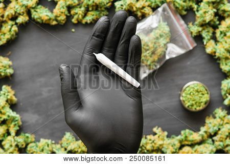 Grinder A Lot Ofx Marijuana, Fresh Buds Of Cannabis Many Weed. Copy Spase Copy-space