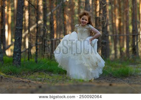 Little Girl Walks In A Summer Forest In A Dress