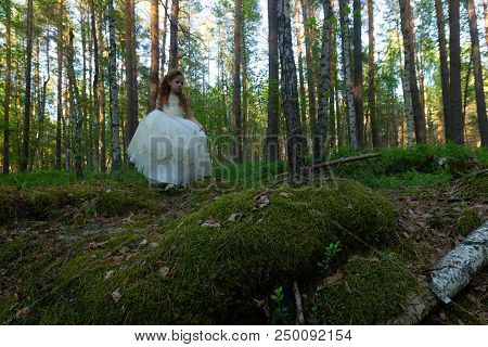 Little Girl Walks In A Summer Forest In A Dress