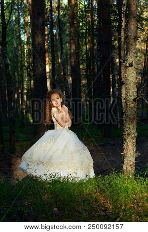 Little Girl Walks In A Summer Forest In A Dress