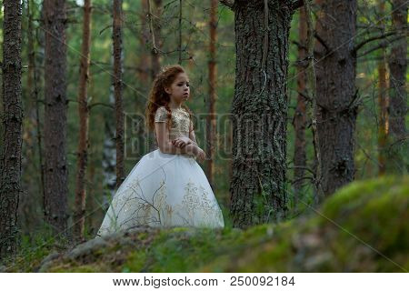 Little Girl Walks In A Summer Forest In A Dress
