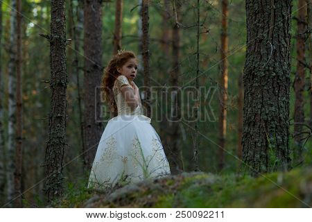 Little Girl Walks In A Summer Forest In A Dress