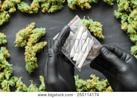 Grinder A Lot Ofx Marijuana, Fresh Buds Of Cannabis Many Weed. Copy Spase Copy-space
