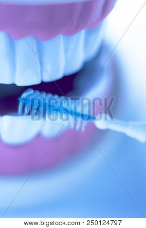 Interdental Teeth Clean Brush
