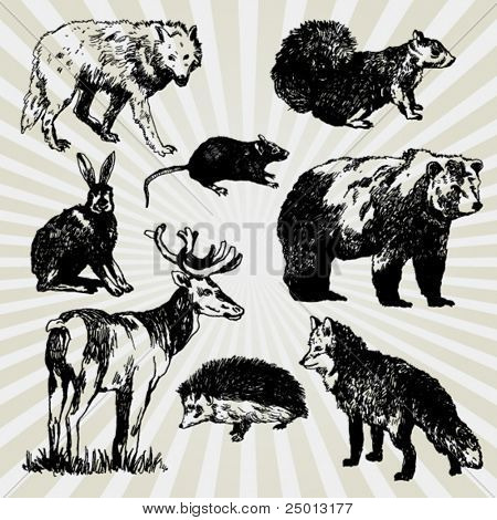 Satz von Wildtieren handgezeichneten