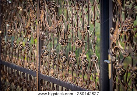Ornate Wrought-iron Elements Of Metal Gate Decoration