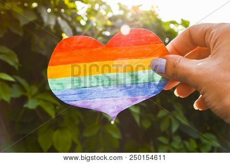 Lgbt Day Concept, Hand Holds A Heart Painted Like A Lgbt Flag