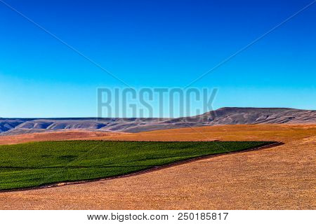 Eastern Washington Palouse Vast Expanse Desert Crop Field And Rolling Hills