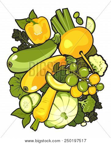 Vector Vertical Illustration With Ripe Vegetables Poster Brochure On White Background About Healthy 