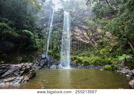 Twin Falls hike in the Springbrook National Park, Queensland, Australia