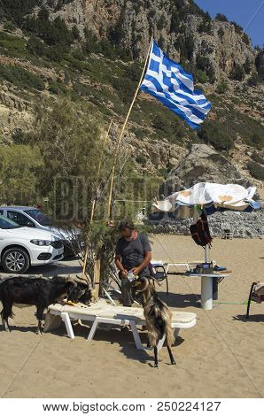 Tsambika, Rhodes, Greece - September 15, 2017: Man Feeds Wild Goats That Come From The Mountains To 
