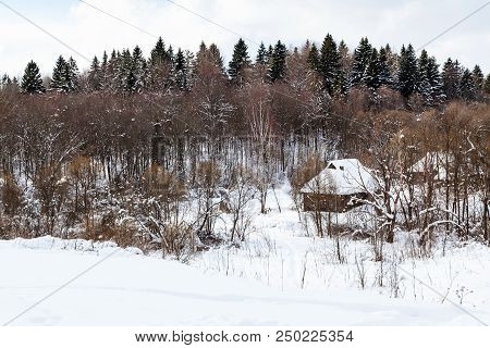 View Of Old Rural Houses At The Edge Of Forest In Russian Village In Cloudy Winter Dayl In Smolensk 