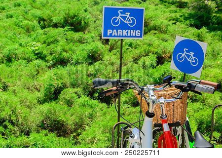 Bicycle Parking On A Background Of Fresh Green Foliage. Signs Of Bicycle Parking. Two Bicycles. Copy