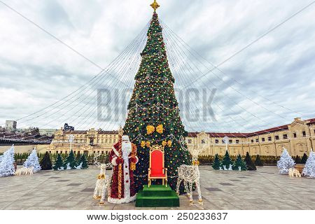 Christmas Tree In Castel Mimi Wine Resort. Cloudy Sky On Background. Wide Shot. Negative Copy Space,