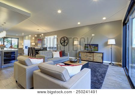 White And Gray Living Room Interior With Exit To A Deck.