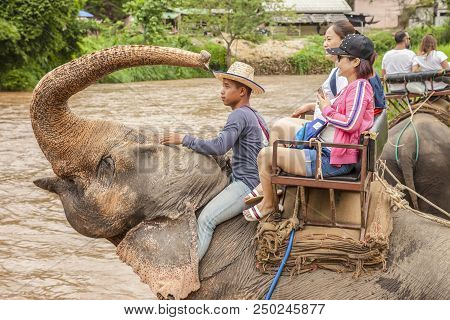Chiang Mai (thailand) - 11 June 2017: Tourists Elephant Riding In Chiang Mai