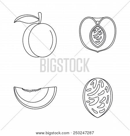Peach Tree Slices Fruit Half Icons Set. Outline Illustration Of 4 Peach Tree Slices Fruit Half Vecto