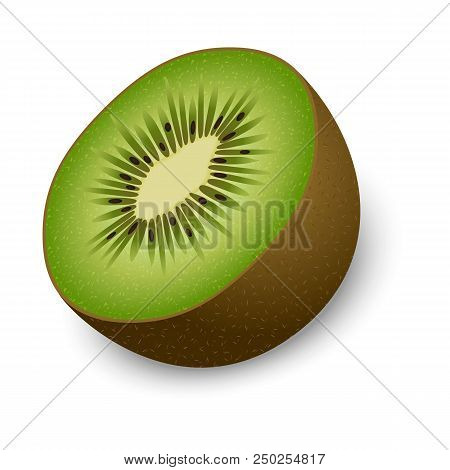 Half Of Kiwi Mockup. Realistic Illustration Of Half Of Kiwi Vector Mockup For Web Design Isolated On