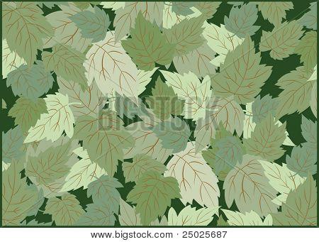 Floral background vector