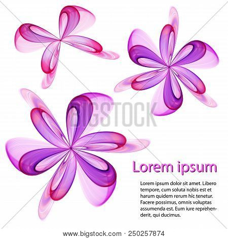Abstract Pink And Purple Flowers On A White Background