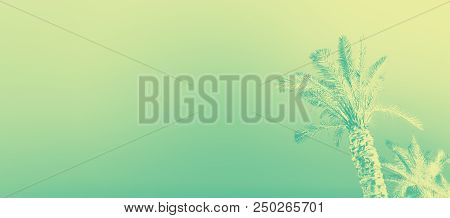 Palms With Turquoise Gradient. Pop Art Effect. Vintage Stylized Photo With Light Leaks. Banner. Summ