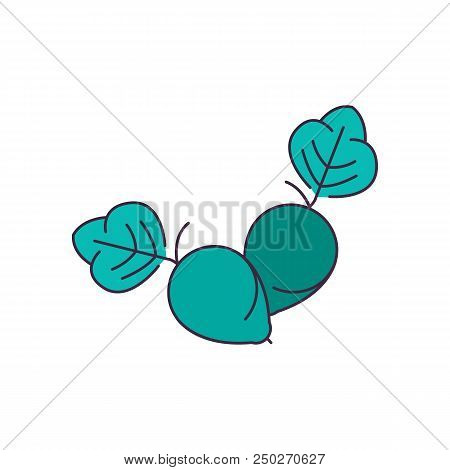 Kakadu Icon. Cartoon Kakadu Vector Icon For Web Design Isolated On White Background