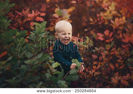 Portrait Of A Small Happy Boy In A Warm Autumn Sweater, Stands Near The Bushes And Fun