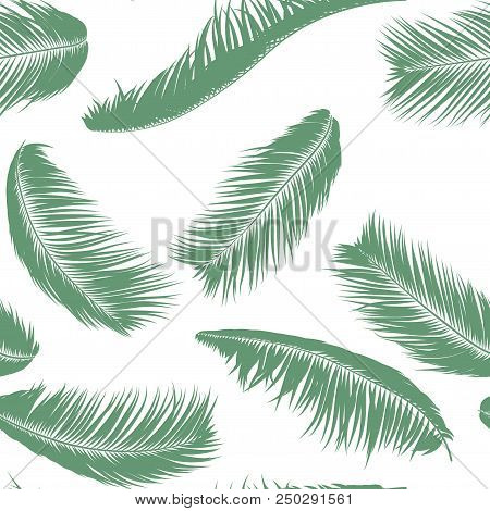 Vector Feathers. Tropical Seamless Pattern With Exotic Jungle Plants. Coconut Tree Leaf. Simple Summ
