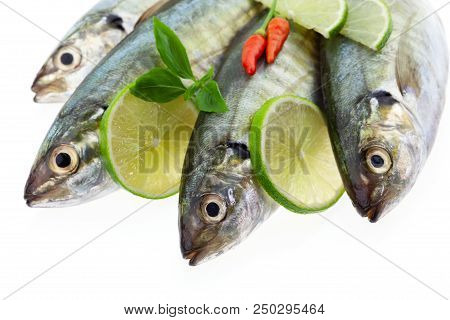 Fresh Fish With Lemon And Leaf Isolated On White Background,concept Cooking Background.