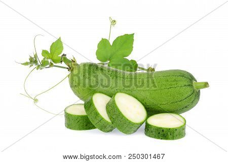 Fresh Green Sponge Gourd Or Luffa With Leaf Isolated On White Background