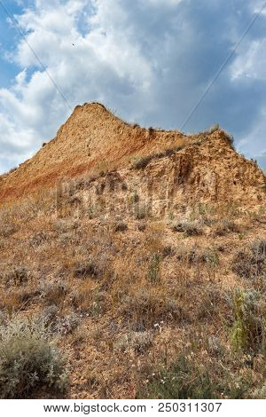 wildflowers on high coast by the sea, beautiful summer landscape, travel concept