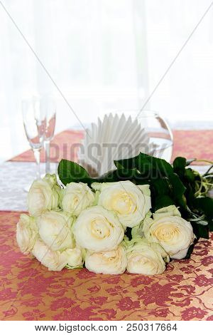 Biautiful White Rose. Photo. Flowers Spring Background
