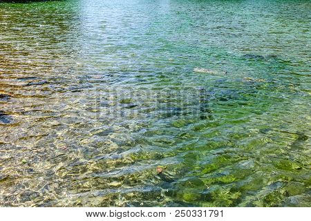 Little Lake In An Alpine Valley