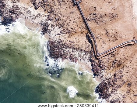 Sea Lion Colony In Namibia Taken In January 2018
