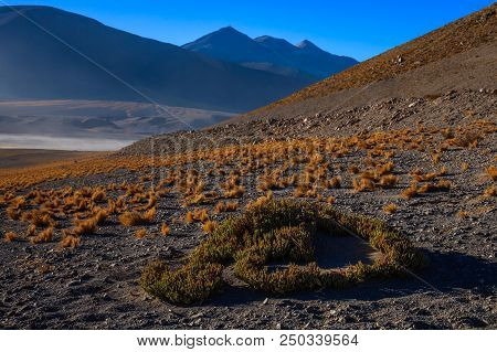 Volcanoes Licancabur And Juriques, Moon Valley, Atacama, Chile