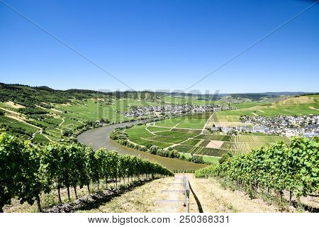 Leiwen Village On The Mosell Ein Germany